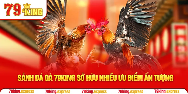 Sảnh đá gà 79KING sở hữu nhiều ưu điểm ấn tượng